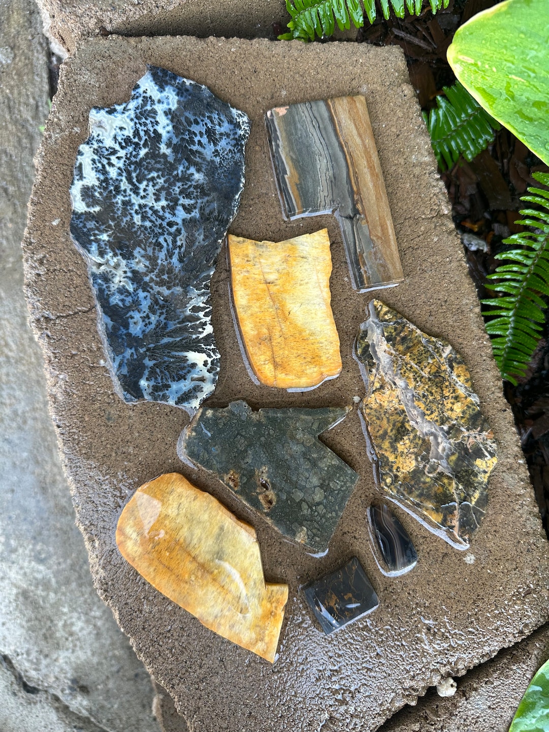 Lacy Rocks Slabs Lapidary Slab Lot. Rock Slabs. Mixed Agates Lot #10. Rock Hound ...