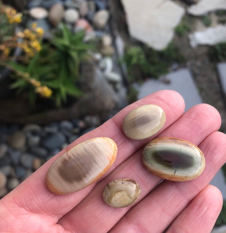 Natural Stone lot Pastel Imperial jasper Royal Imperial Jasper 4 Stones Four cabochons Earth toned Stone set Pairs SUPER SAVER SET