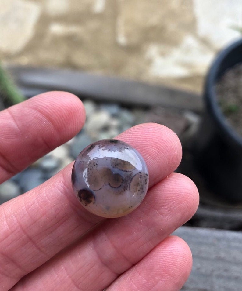 SOURCED orbicular jasper Spotted Stones Round stone 18mm Rounds 18mm Ocean Jasper cabochon Ocean jasper cabochons