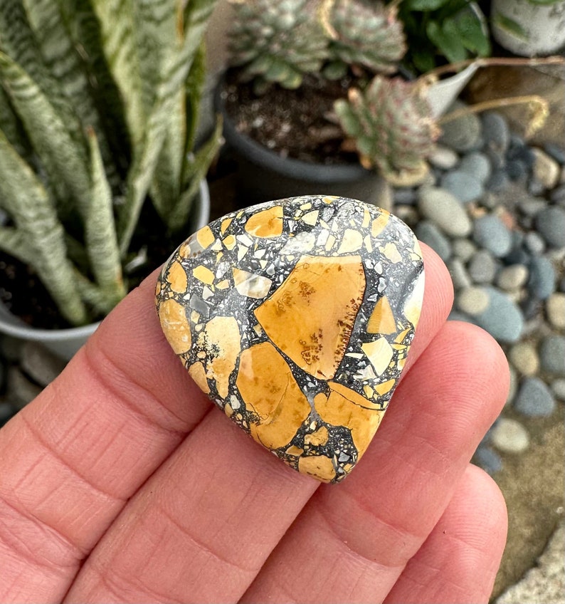 Puede incluir: Una piedra pulida en forma de l&aacute;grima con un patr&oacute;n de mosaico. La piedra presenta grandes parches irregulares de amarillo dorado y fragmentos m&aacute;s peque&ntilde;os de negro, gris y blanco. La piedra se sostiene en una mano, con un fondo borroso de plantas y rocas.