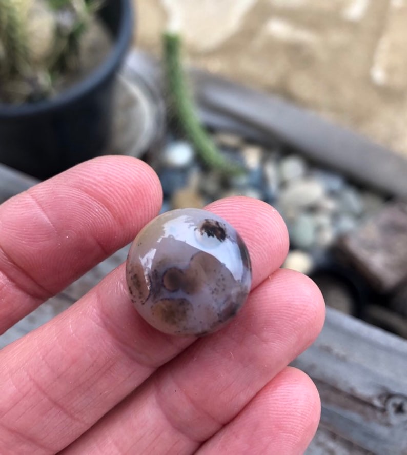 SOURCED orbicular jasper Spotted Stones Round stone 18mm Rounds 18mm Ocean Jasper cabochon Ocean jasper cabochons