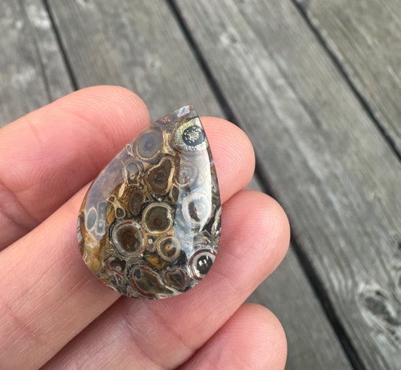 Stromatolite Cabochon. Teardrop shaped cabochons. Fossilized wood. Black, Tan and brown. Fossilized. fossil stones.