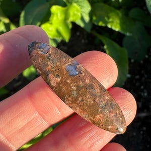 Peut inclure: Une pierre allongée et polie, aux tons bruns, rouges et bleus. La pierre présente un motif tacheté et est tenue dans une main. La forme est lisse et ovale. La pierre mesure environ 7 cm de long.
