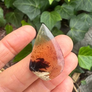 May include: A teardrop-shaped, translucent gemstone with a blend of colors, including orange, brown, and black. The stone has a unique pattern and is held in a hand against a backdrop of green foliage.