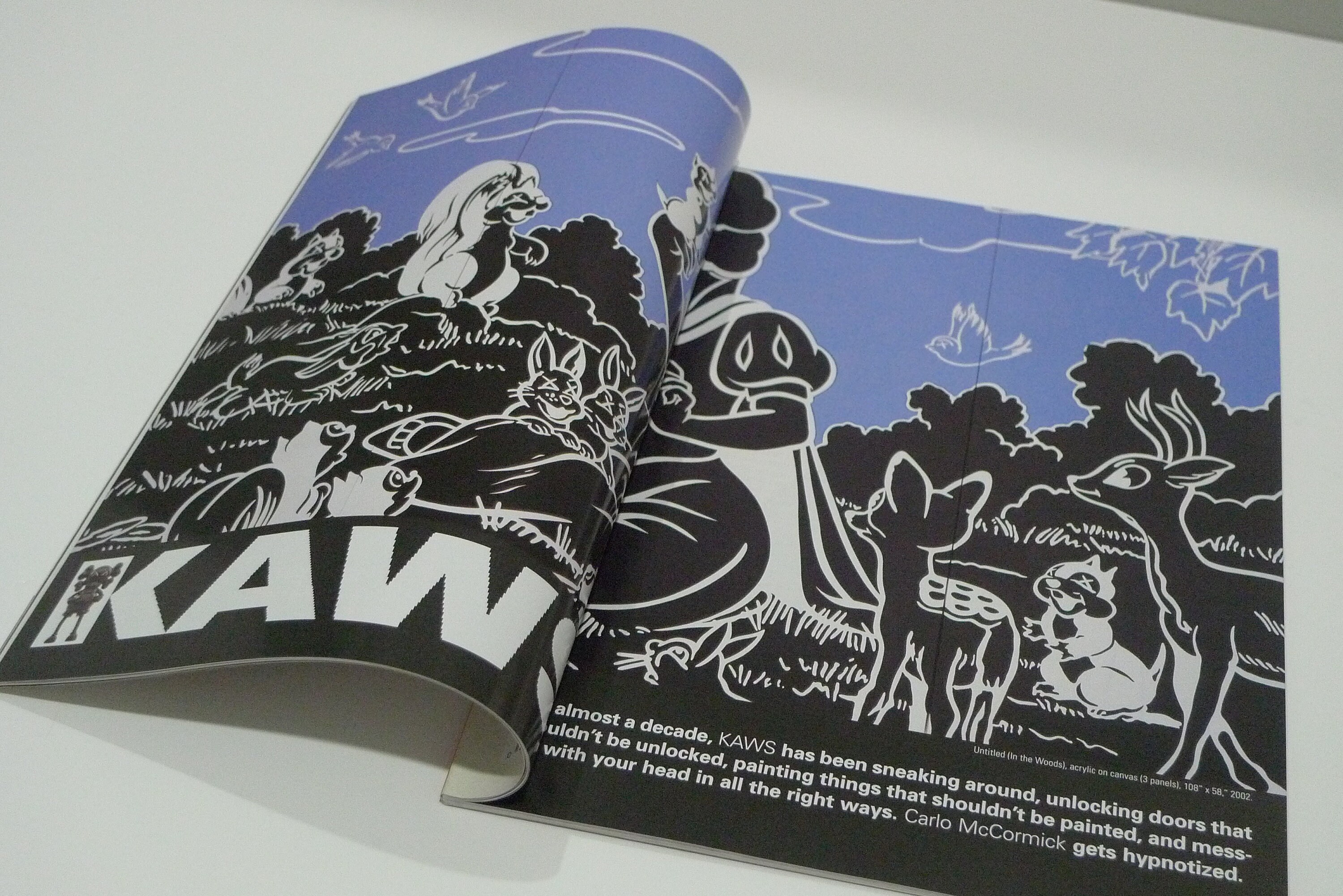 JUXTAPOZ / 2004 Special Street / KAWS レア