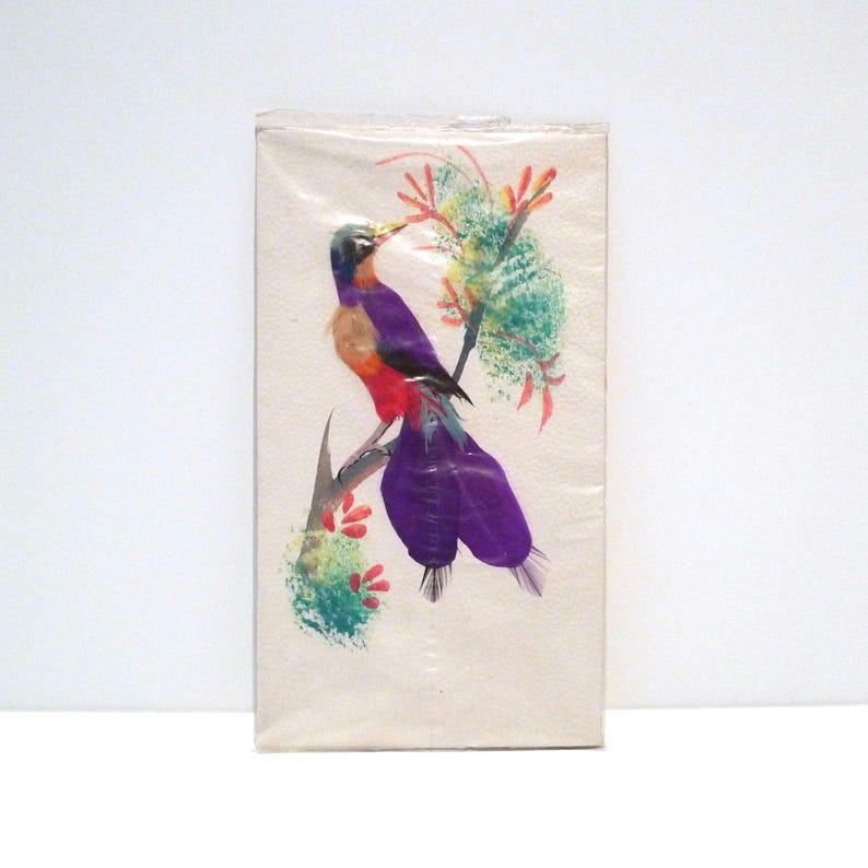 Bird Feather Painting Sealed Vintage 1960s Feathered Bird Postcard Sanborns Department Store Made in Mexico Folk Art Handmade Greeting Card