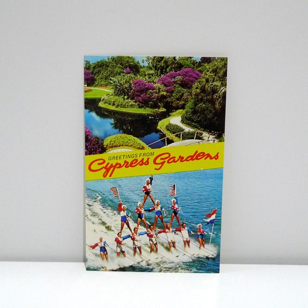 Greetings From Cypress Gardens Postcard - Florida 1980s Vintage Human Pyramid Water Skiing / Botanical Gardens Park