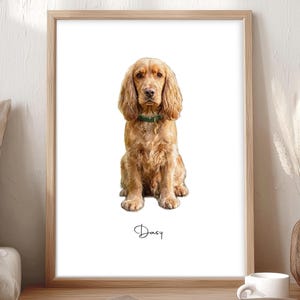 Puede incluir: Una lámina artística enmarcada con una ilustración realista de un perro spaniel de color marrón dorado sentado. El perro lleva un collar verde oscuro con una pequeña placa dorada. Debajo del perro, el nombre Dasy está escrito en letra cursiva negra.