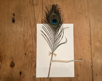Chapter and Feather ballpoint feather quill pen