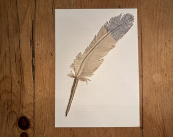 Chapter and Feather ballpoint PAPER FEATHER quill pen