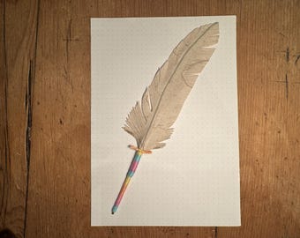 Chapter and Feather ballpoint PAPER FEATHER quill pen