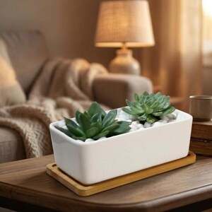 Rectangular Ceramic Succulent Planter with Bamboo Tray, Modern Desk Decor