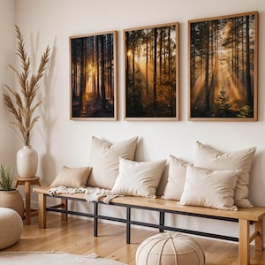 Könnte beinhalten: Drei gerahmte Kunstdrucke mit Waldlandschaft, mit Sonnenlicht, das durch die Bäume scheint, hängen über einer Holzbank mit beigen Kissen. Eine Vase mit getrockneten Pflanzen und ein gewebter Hocker vervollständigen die Einrichtung.