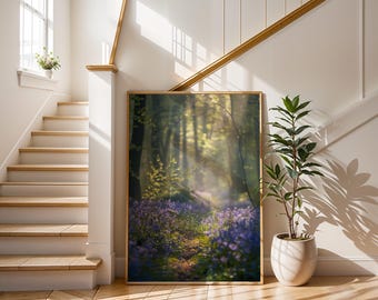 Nature Photography