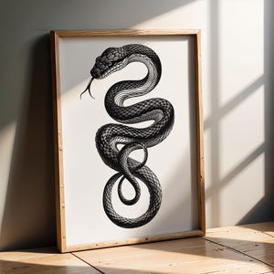 May include: A rectangular wooden frame containing a white print of a black snake coiled in an S-shape. The snake is depicted with detailed scales and a visible forked tongue extending from its head. The artwork is centered within the frame.