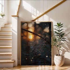 Nature Photography | Dew Spider Web |  Wall Art | Macro  Print