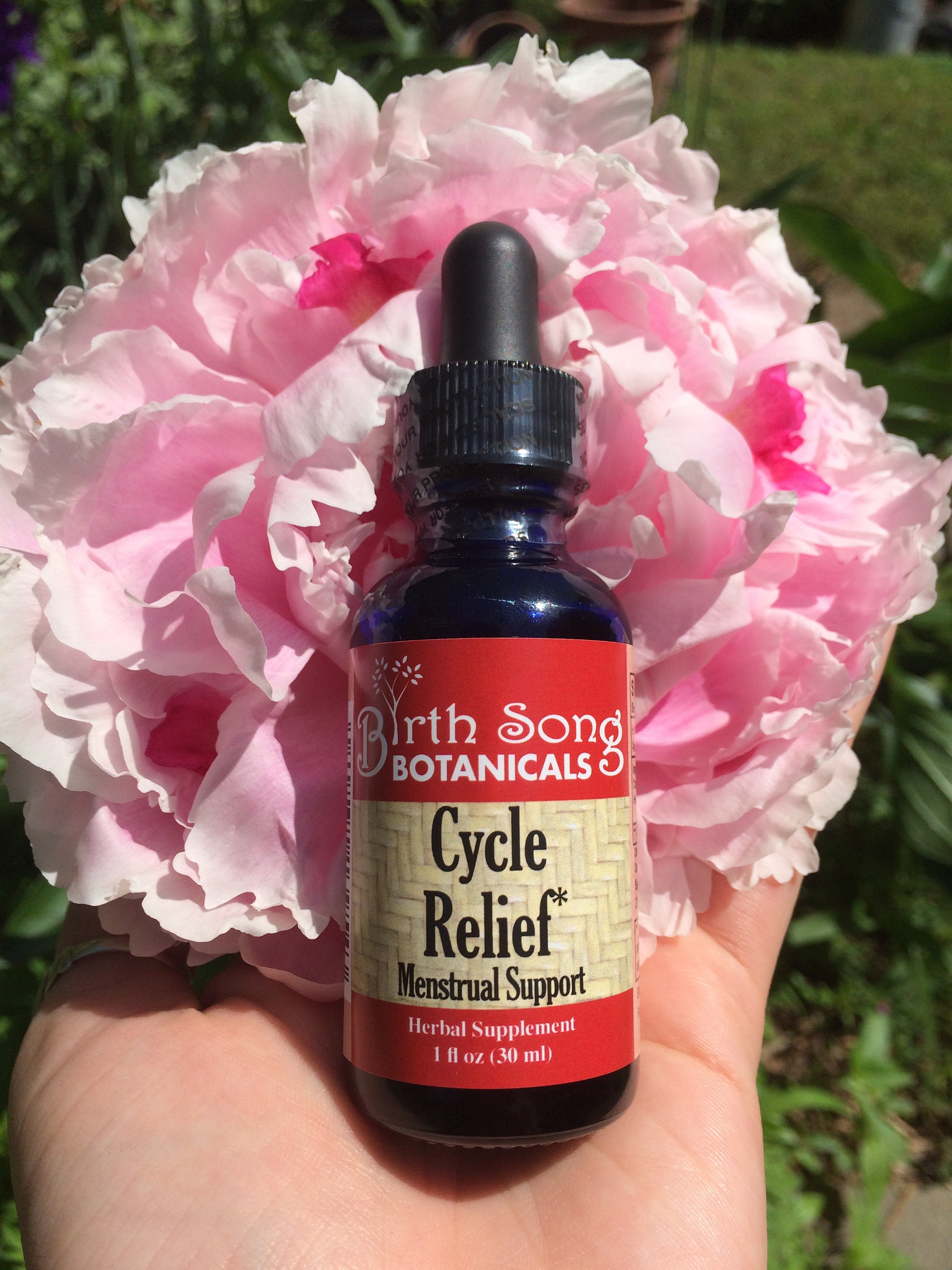 Cycle Relief Herbal Supplement for Painful Period Cramps– Birth Song  Botanicals Co.