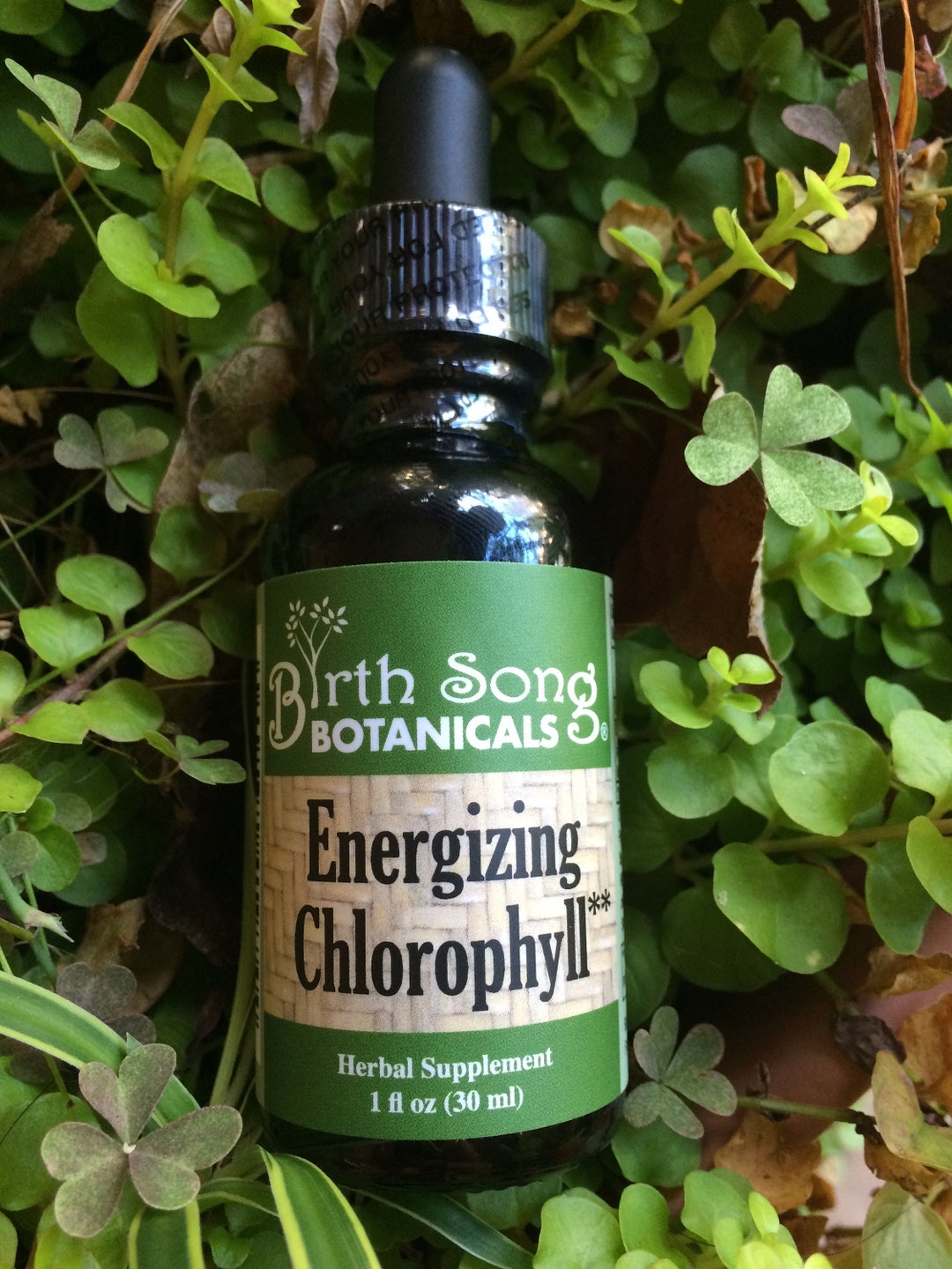 Energizing Chlorophyll With Peppermint, Internal Deodorant, Blood