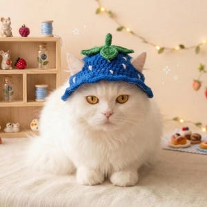 Puede incluir: Un gato blanco y esponjoso con un sombrero de fresa azul tejido con un tallo verde. El gato es el punto focal, con una estantería de madera, figuras en miniatura y pasteles en el fondo. La escena se desarrolla sobre una superficie clara.