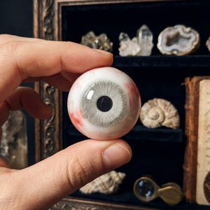 Könnte beinhalten: Ein realistisches, kugelförmiges Auge mit grauer Iris und schwarzer Pupille, gehalten zwischen Fingern. Die Sklera ist weiß mit roten Adern. Ein einzigartiges dekoratives Objekt, möglicherweise für eine Kuriositätensammlung.
