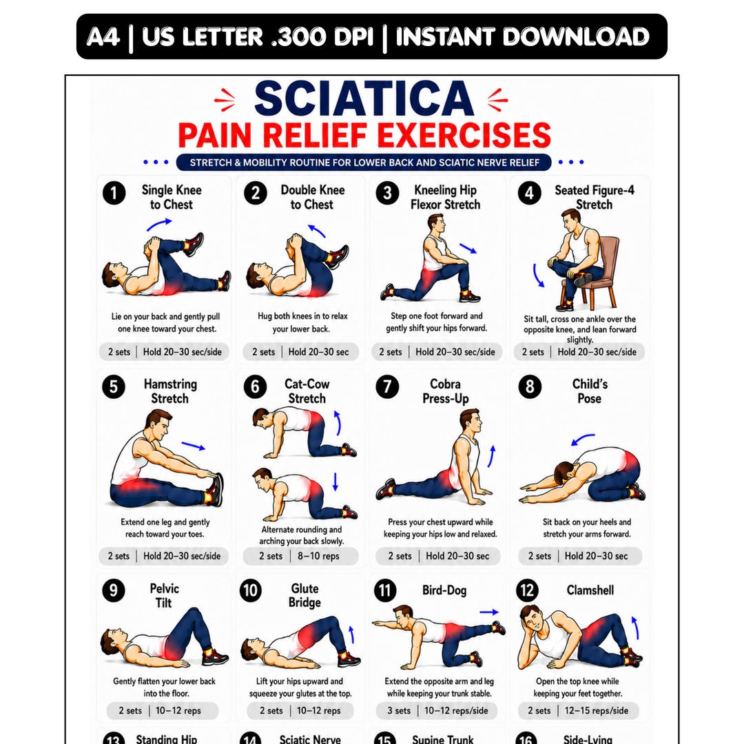 Sciatica Pain Relief Exercises Printable, Sciatic Nerve Glide and Lower ...