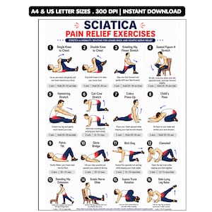 Sciatica Pain Relief Exercises Printable, Sciatic Nerve Glide and Lower Back Stretch PDF, Physical Therapy Mobility Chart Digital Download