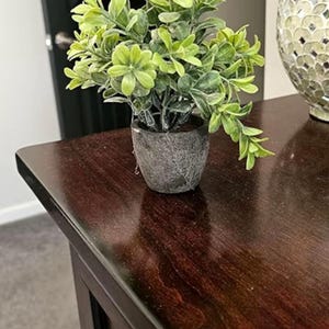 May include: A small, artificial plant with light green leaves in a gray pot sits on a dark brown wooden surface. The plant is the focal point, with a glimpse of a decorative object in the background.