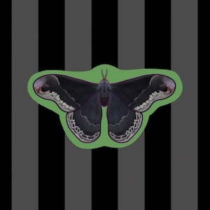 Goth Moth Promethea Silkmoth Matte Vinyl Black Moth Sticker Entomology Art Nature Gifts Great Outdoors Weather Resistant