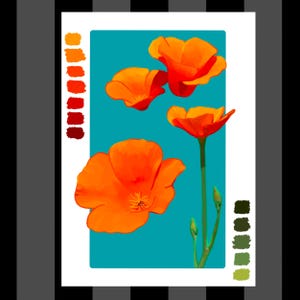 Digitales Skizzenbuch 5x7 Print Kalifornische Mohnblumen Illustration, Wanddekor, Orangefarbene Blumen, Wildblumen, Naturliebhaber Kunst