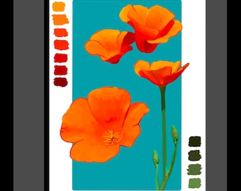 California Poppies Art Print, Orange Floral Illustration (5x7)