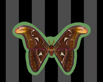 Atlas Moth Vinyl Sticker, Entomology Art, Nature Gift