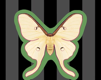 Luna Moth Entomology Vinyl 3 Inch Sticker