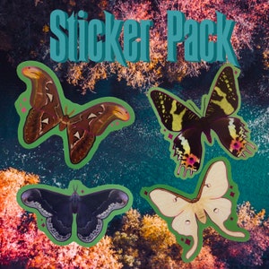 Moths Sticker Pack (Set of 4), Entomology Art, Bug Stickers, Pretty Moths, Luna Moth, Atlas Moth, Sticker Set, Nature Lover, Nature Art