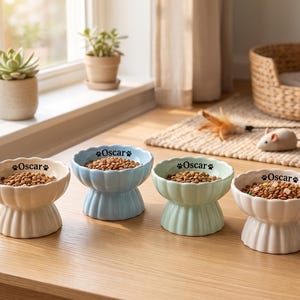 Pode incluir: Quatro taças de cerâmica para animais de estimação com base de pedestal canelada e rebordo recortado. Cada taça tem uma cor pastel diferente e apresenta o nome Oscar impresso em texto preto com um ícone de pata no rebordo interior, cheias de ração.
