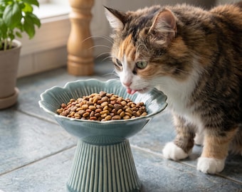 Gamelle en céramique pour chat, gamelles personnalisées pour animal de compagnie, gamelle surélevée pour chat, gamelle pour chat personnalisée, cadeaux pour animal de compagnie, gamelle pour chat adaptée aux moustaches larges et peu profondes
