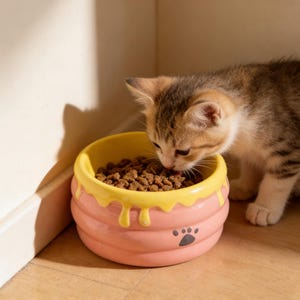 May include: A pink and yellow ceramic cat bowl with a honey-like design, filled with dry cat food. The bowl has a paw print on the side. A small kitten is eating from the bowl.