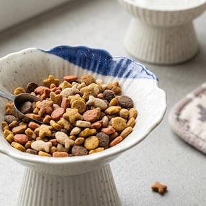 Może przedstawiać: Ceramiczna miska na nóżce z białym nakrapianym wykończeniem i niebieskim, falistym brzegiem, wypełniona brązową, beżową i pomarańczową suchą karmą dla zwierząt w kształcie gwiazdek i rybek, z małą metalową łopatką spoczywającą wewnątrz miski.