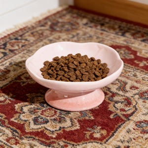 May include: A pale pink ceramic pet bowl filled with dry pet food. The bowl has a scalloped edge and sits on a pedestal base. The bowl is on a patterned red and beige rug.