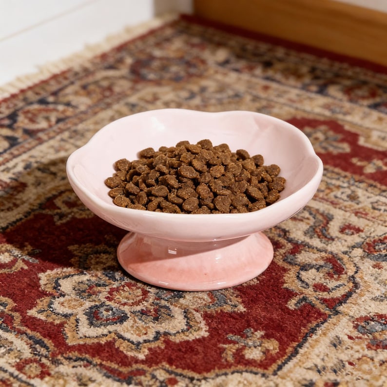 May include: A pale pink ceramic pet bowl filled with dry pet food. The bowl has a scalloped edge and sits on a pedestal base. The bowl is on a patterned red and beige rug.