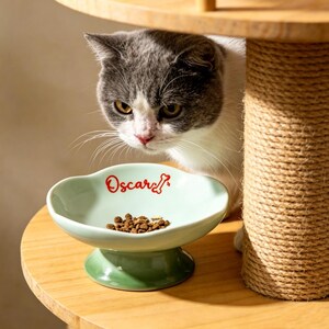 May include: A pale green ceramic cat bowl with the name "Oscar" in red script. The bowl contains dry cat food and is on a wooden surface. A grey and white cat is looking at the bowl.