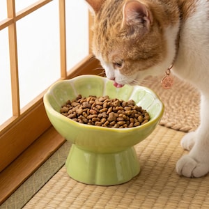 Peut inclure: Un bol pour animal en c&eacute;ramique vert clair avec un bord festonn&eacute; en forme de fleur et une base sur&eacute;lev&eacute;e. Le bol est rempli de croquettes s&egrave;ches brunes. Le design pr&eacute;sente des bords arrondis et lisses avec une finition brillante.
