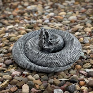 May include: A coiled gray snake with a textured pattern, resting on a bed of small, multicolored pebbles. The snake's head is raised, revealing a detailed eye and open mouth. The overall scene evokes a sense of nature and wildlife.