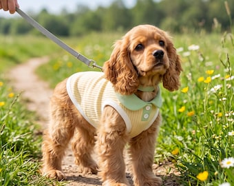 Lindo polo para perro con anilla para correa, ropa para cachorros con collar, camisa suave para mascotas, conjunto para gatos, ropa para perros de primavera y verano, ropa estética para mascotas