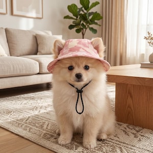 May include: A fluffy, cream-colored Pomeranian dog wearing a pink tie-dye bucket hat with ear cutouts. The dog has a black adjustable neck cord. The dog is sitting on a patterned rug in a living room setting.