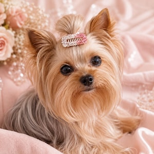 May include: A small Yorkshire Terrier dog with long tan and grey fur, featuring a topknot hairstyle secured with a rectangular hair clip. The clip is embellished with a gradient of clear white crystals transitioning into pink crystals.