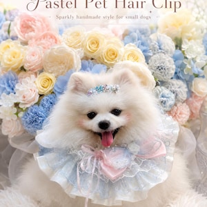 May include: A small white dog wearing a sparkly hair clip with blue, pink, and clear crystals, and a ruffled collar featuring layers of light blue and pink lace with a central bow. The text "Pastel Pet Hair Clip" is visible at the top.