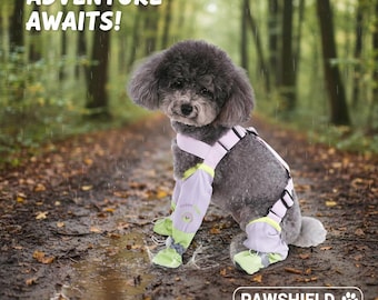 Polainas impermeables para perros, protector contra el barro, pantalones con tirantes, equipo de aventura
