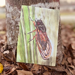 Puede incluir: Ilustración colorida de una cigarra sobre lienzo. La obra presenta una representación detallada del cuerpo de la cigarra, con tonos marrones, naranjas y negros. El fondo muestra tonos verdes y beige, sugiriendo un entorno natural.