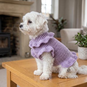 May include: A small white dog wearing a lavender crochet sweater featuring a ribbed turtleneck collar, ruffled sleeves, and a ruffled hem. A small silver-toned tag with a yarn ball icon and the text PET-CROCHET is attached to the hem.