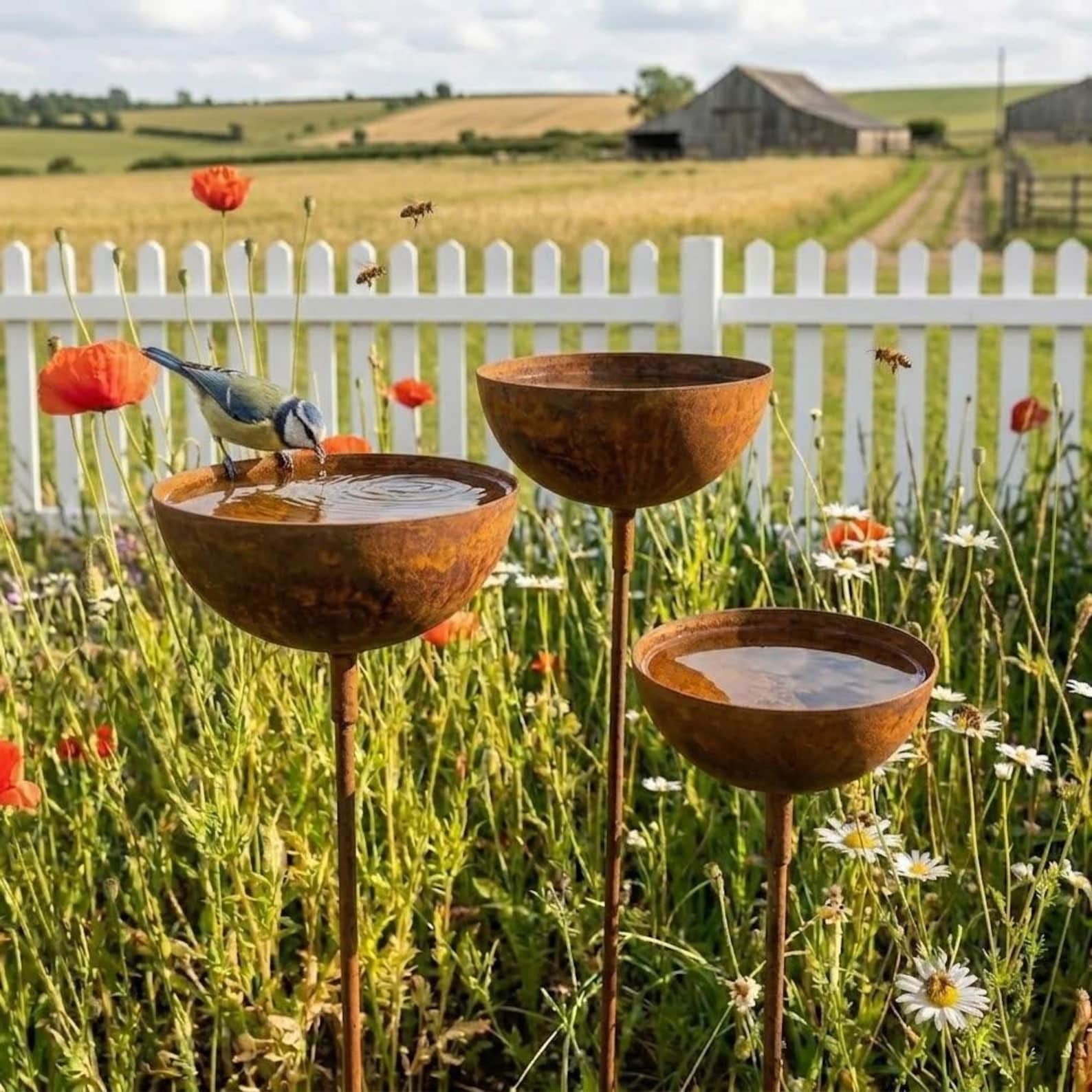 Bird Bath! - Open to different options